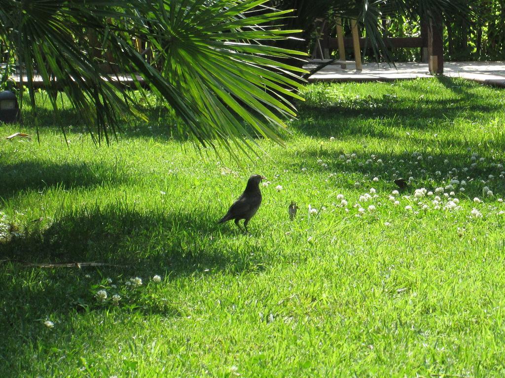 Complesso Turistico Ricettivo L'Oasi Del Golfo Di Salerno Apartment บัตตีปาลเลีย ภายนอก รูปภาพ